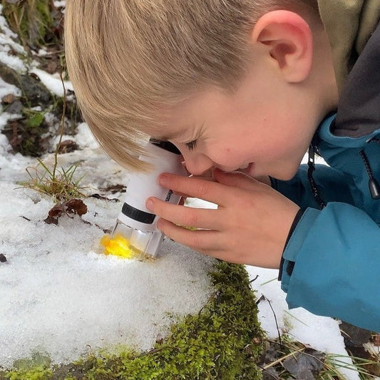 5 Fun Outdoor Activities to Try with Your KAHFOO Microscope